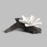 CARNATION_CERAMIC_SACHET_ISLT_01_9cef