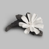 CARNATION_CERAMIC_SACHET_ISLT_02_f12d