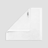 POITIER_LIGHT____________TWLS_DTL_03_8db0